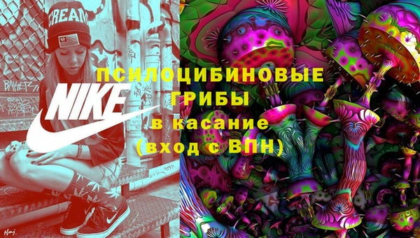 бутират Богородицк