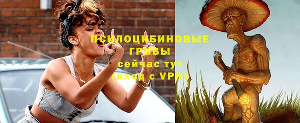 бутират Богородицк