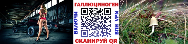 Галлюциногенные грибы Psilocybine cubensis Пионерский