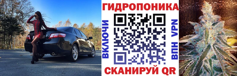 продажа наркотиков  Пионерский  это клад  Конопля VHQ 